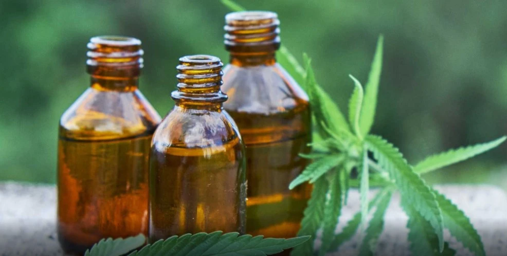 best-cbd-oil-vape-pen-starter-kit-1 best-cbd-oil-vape-pen-starter-kit-1