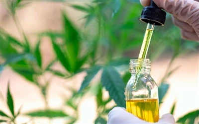 9 ประโยชน์ต่อสุขภาพของน้ำมัน CBD – และผลข้างเคียง