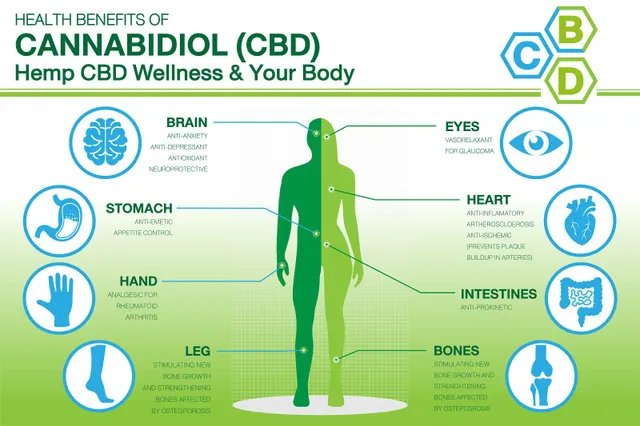ประโยชน์ด้านสุขภาพ 5 อันดับแรกของน้ำมัน CBD — และดูผลข้างเคียง
