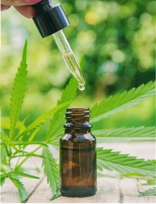 สิ่งที่ต้องรู้ก่อนลองใช้ CBD