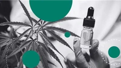Hemp Vs CBD: อะไรคือความแตกต่าง?