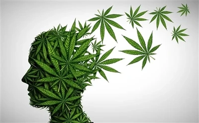 วิธีใช้น้ำมัน CBD เพื่อประโยชน์สูงสุด: คู่มือฉบับเต็ม