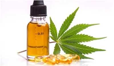 ความแตกต่างระหว่างน้ำมันเมล็ดป่าน, CBD และสารสกัดจากกัญชาคืออะไร?